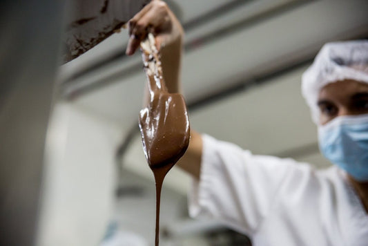El árbol de la vida es una idea que se repite en casi todas las culturas | Franceschi Chocolate Store