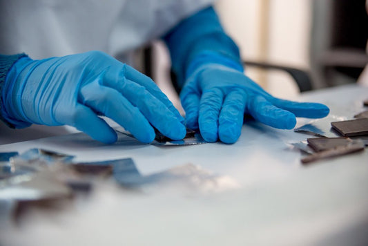 El monje Gregor Mendel llevó a cabo los primeros experimentos genéticos | Franceschi Chocolate Store