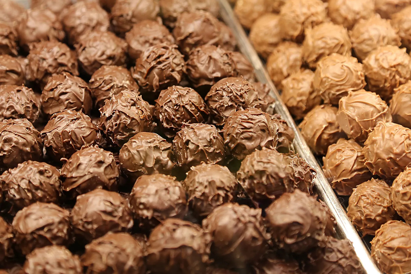 Trays of finished chocolate confections in production